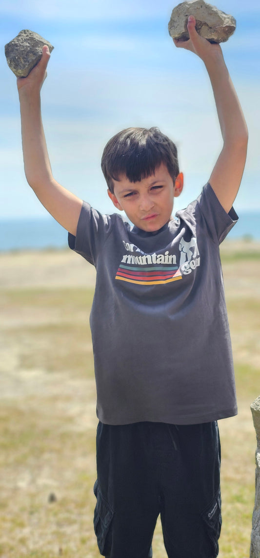 Kids Short Sleeve Originals T Shirt grey
